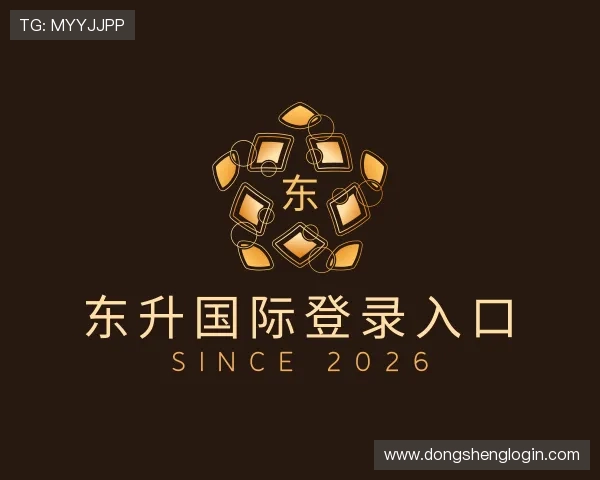 了解东升国际登录入口
